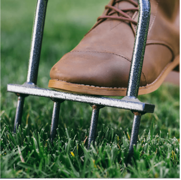 Using a manual lawn aerator