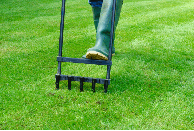 A person aerating their lawn