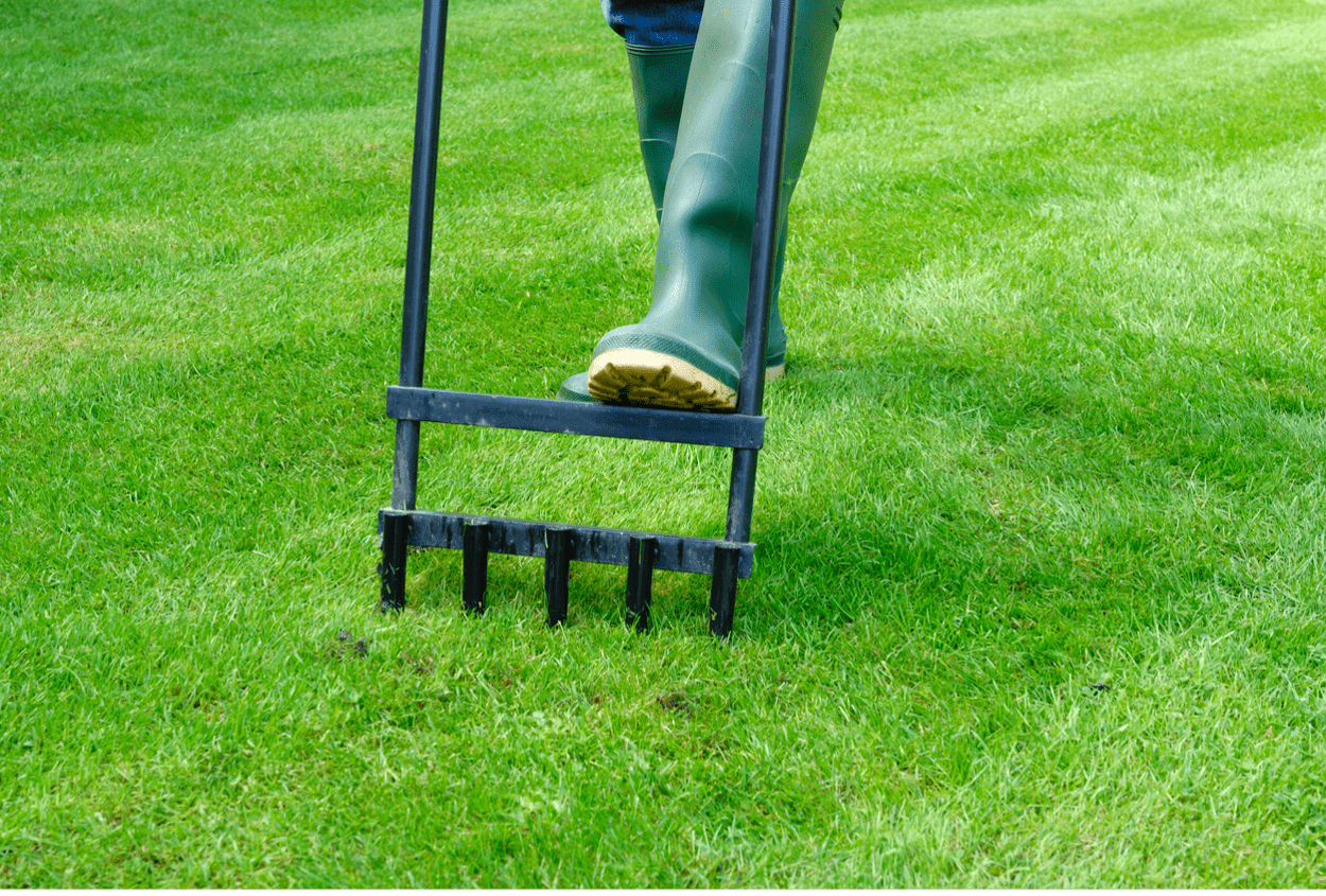 A person aerating their lawn