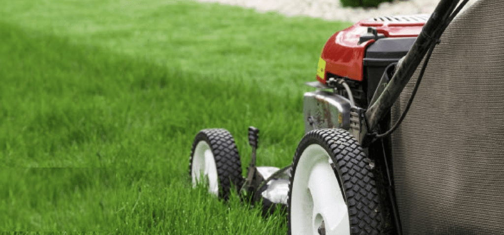 Mower cutting grass