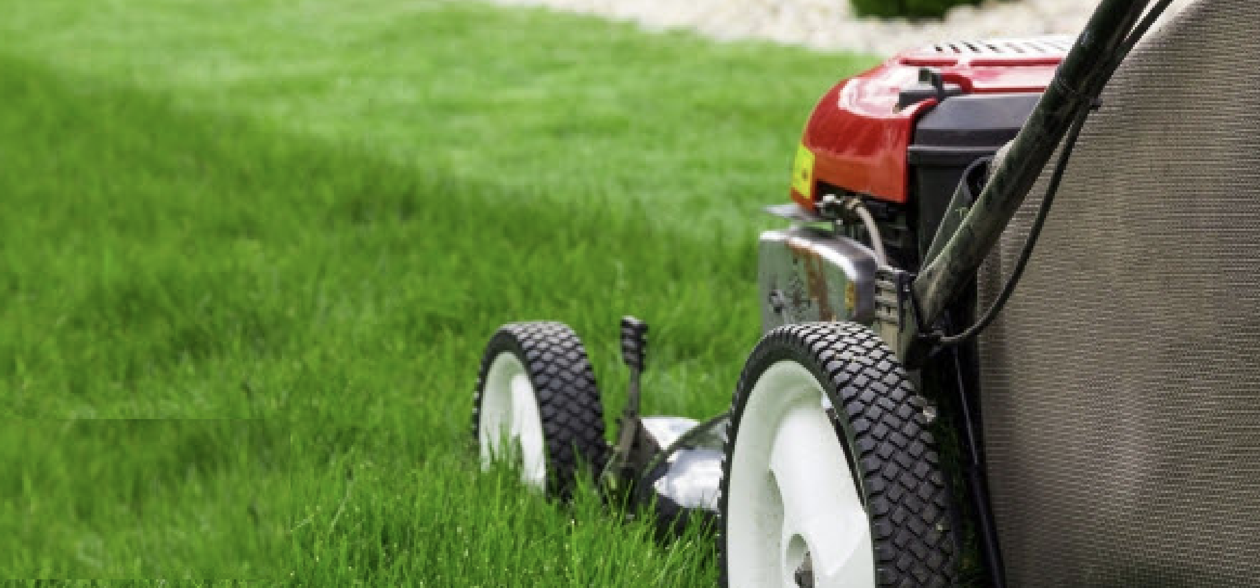 Mower cutting grass