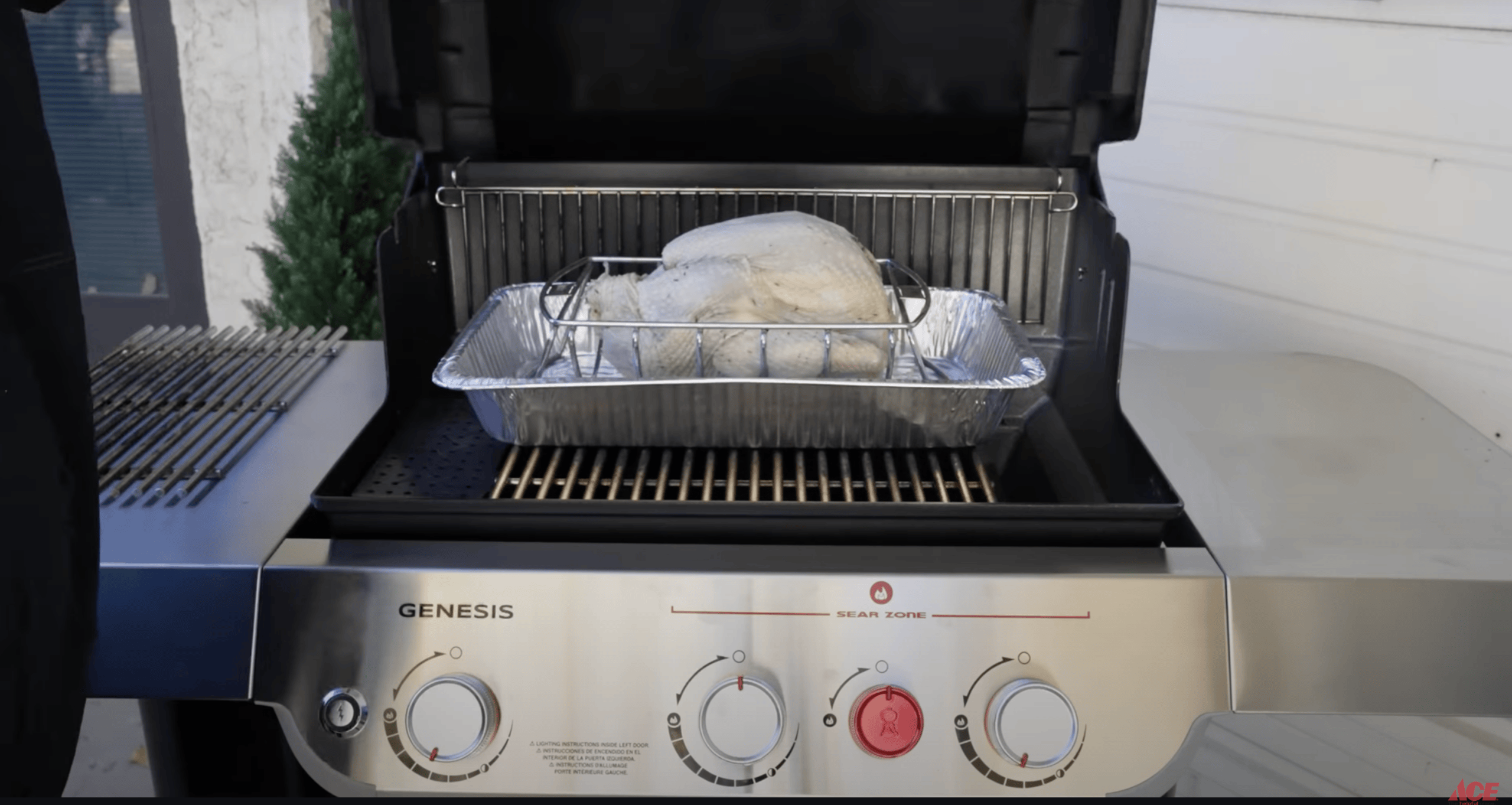 Grill the turkey
