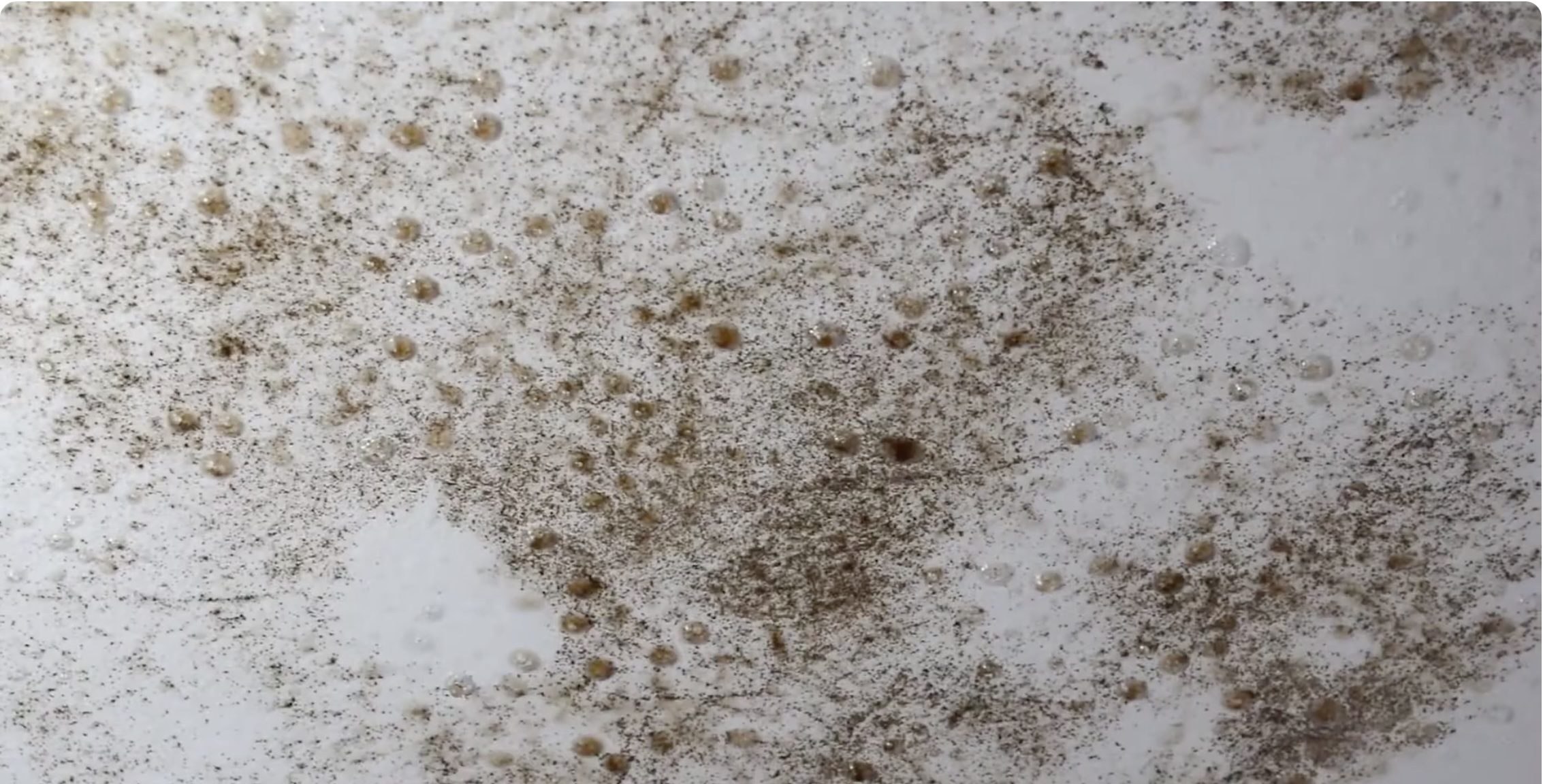 Mildew collecting on a wall.