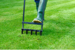 A person aerating their lawn
